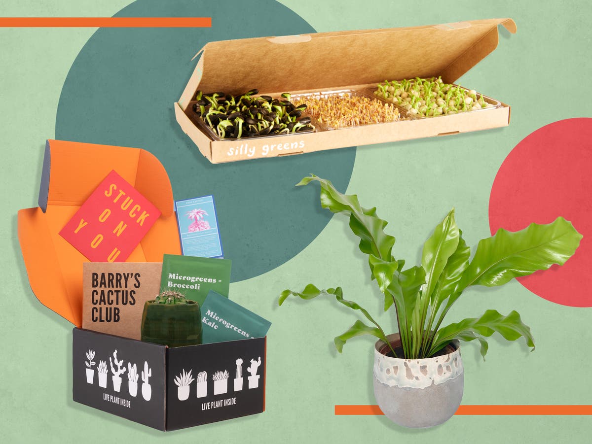 Best plant subscription boxes in the UK Houseplants, vegetables